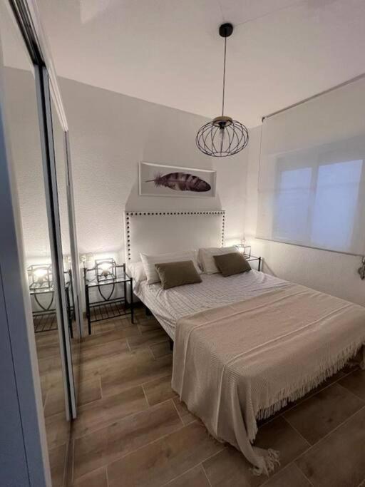 Apartamento Apartamento Céntrico Y En Primera Línea De Playa